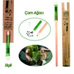 Çam Ağacı Tohumlu Silgili Kurşun Kalem