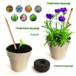 Kalemli Saksılı Çiçek Dikim Seti